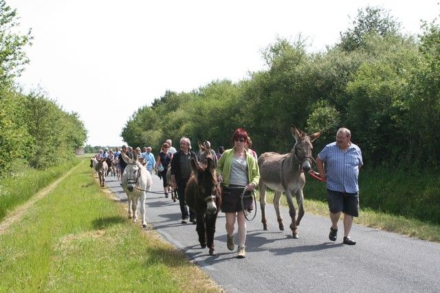 2015-07-06 rando anes (32).JPG